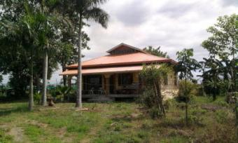 FARMLAND PLANTATION WITH HOUSE F Nueva Ecija,pe�aranda