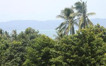 sea view land for sale Koh Pha Ngan
