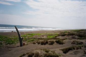 Beach Front Property located on Manzanillo