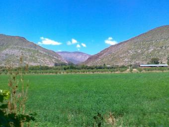 Prime Karoo Property Prince Albert