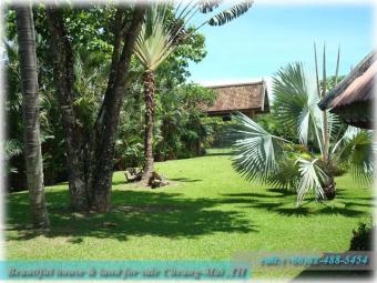 Beatiful land & house for sale Ban Nam Khrok Mai