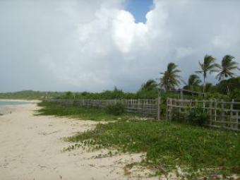 EXCELLENT FOR A RESORT OR HOTEL Trancoso