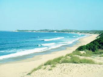 Beach front Property Development Praia Do Tofo