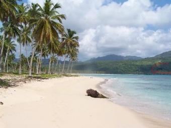 beautiful land on the shore Saman�