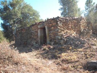 Portugal 6.5ha of forested land Pinhel
