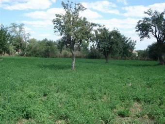 HUGE BUILDING PLOT 4340 sq.m WIT Black Sea