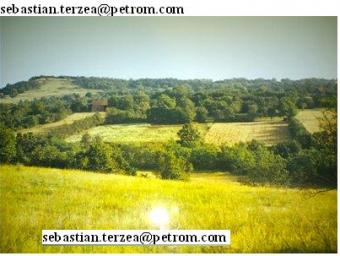 land for sale +old house & barn Arad County