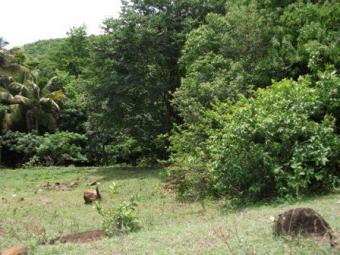 Land for Sale in Vieux Sucrie Vieux Sucrie