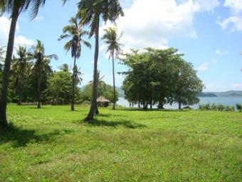 tanah di jual Mataram