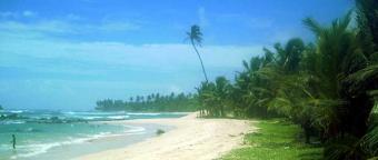 20 Acres Beach Front Land Sale Tangalle