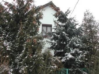 Sell family house near Budapest Budapest