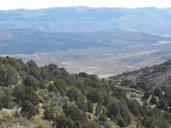 20 acres in  eastern Utah Fairview Heights