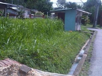 D`Abadie Prime Corner lot D`abadie