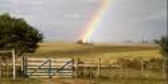 Nice Estancia in Corrientes Arg. Corrientes
