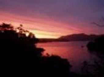 Rugosa Cottage Bed and Breakfast Portobello
