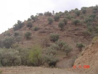 Plot for sale Malaga