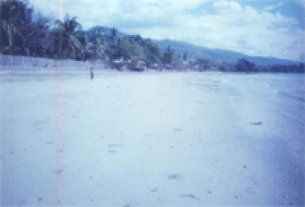 Beaches & Islands in Palawan Puerto Princesa City