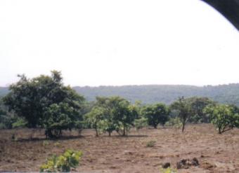 Agricultural Plot for Sale Kolhapur