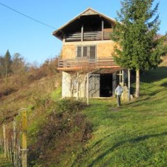 Cottage hause Ptuj