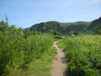 Nice land in Lombok Mataram