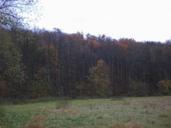 Plot of land - Slovakia Krupina