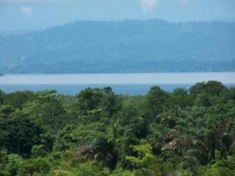 Tropical Caribbean Cottage Bocas Del Toro