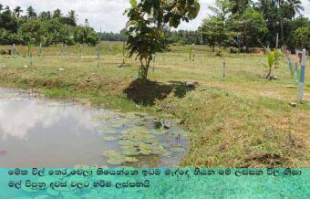 Environmental Friendly Location Pannala