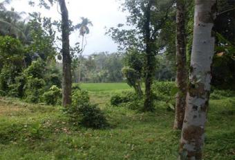A PRIME LAND FOR IMMEDIATE SALE Bandaragama
