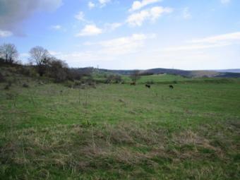land -15km away from beach Albena