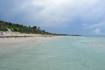 LAND FOR SALE TULUM Tulum