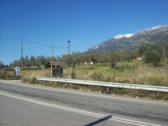LAND 4.300m2 IN ΝAFPAKTOS Nafpaktos