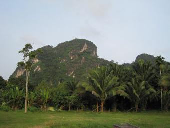 plot of land in krabi Krabi