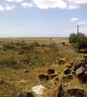 Land Profit +50% in 3 years -MRU Grand Baie