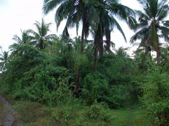 Residential Lot Puerto Princesa City