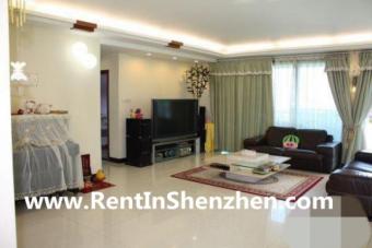 Shenzhen Futian apartment,10min Shenzhen