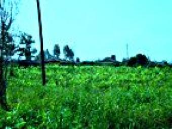 Land for sale 3acres Limuru Limuru