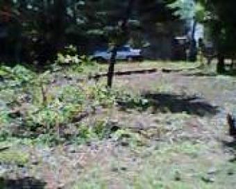 10p bare land for sale Ratmalana South