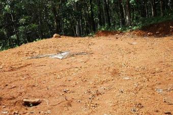 24 CENTS OF LAND FOR SALE Ernakulam