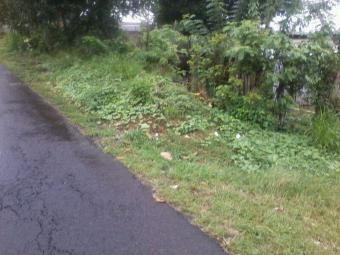 6.5 hectareLand for Sale in Bali Kintamani