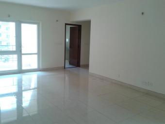 Apartment / Flat Bangalore Bangalore