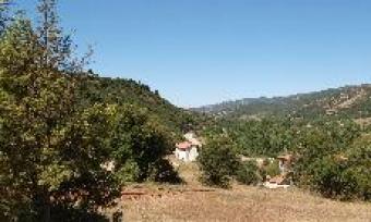 Bargain!!!  Unique 11000sqm Kalavrita