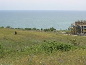 The huge plot of land in Byala Byala