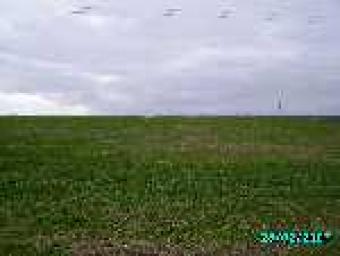 Plot of land near sea city Varna Varna