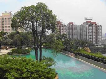 Apartment / Condo on Rama3/Narathiwat Bangkok