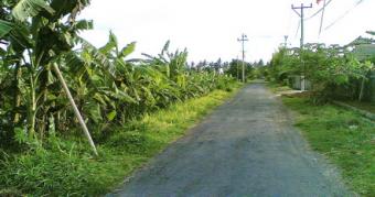 Jl.Nelayan- Canggu Beach Kuta Mbelin