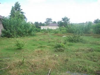 Freehold land in Canggu, Bali Bali