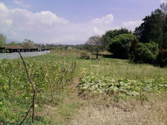 property in $100.000, 4300m2 Alajuela