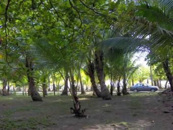 Beachfront Lot, Costa Rica Isla Palo Seco