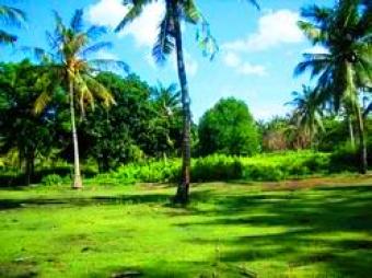 Beautiful Land Of Meno Gili Meno Lombok