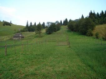 LAND FOR SALE IN ROMANIA Campulung Moldovenesc